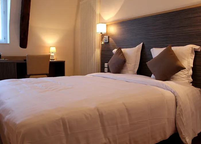 Logis Le Grand Château-du-Loir